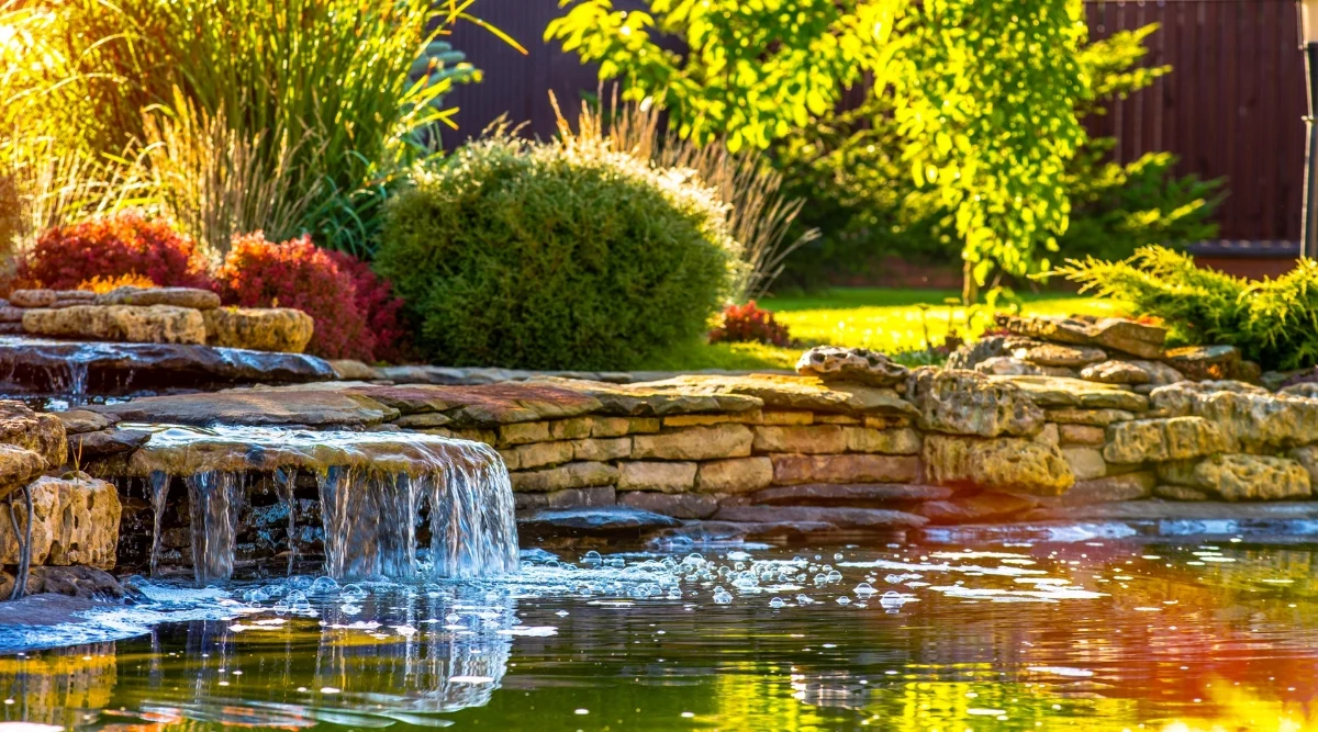 Beautiful water feature and landscape