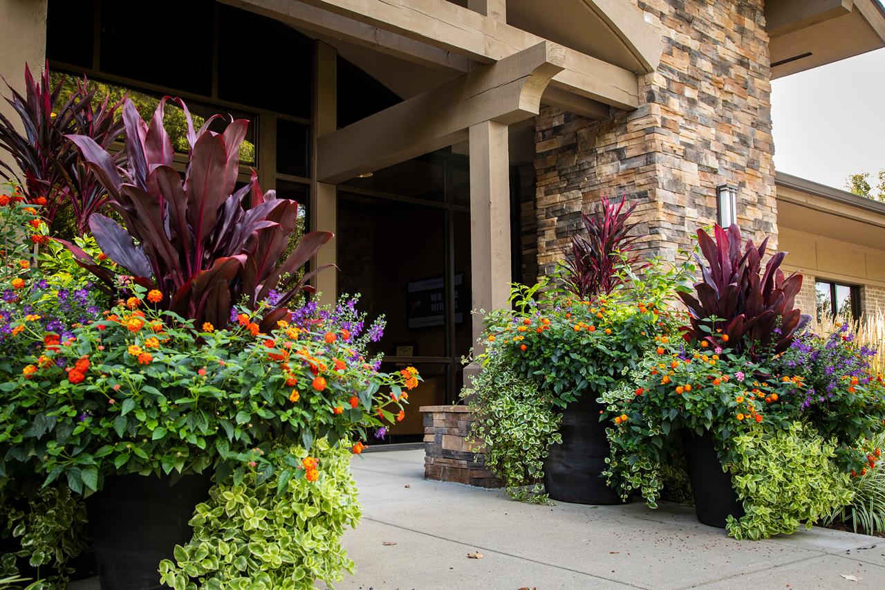 Landscape enhancements — seasonal planters at commercial entrance