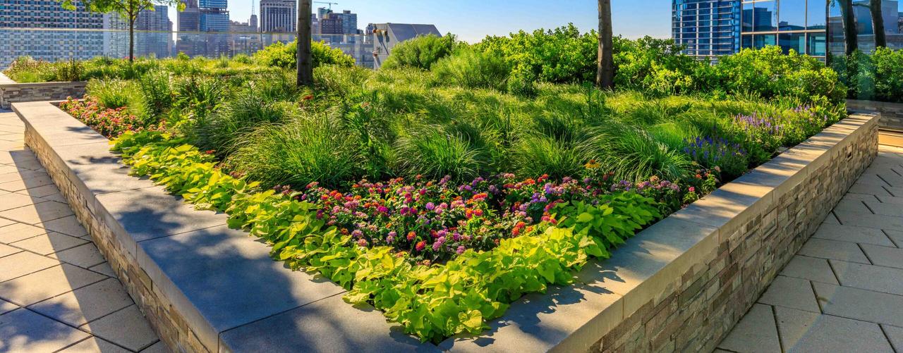 Rivers Edge Landscape Management