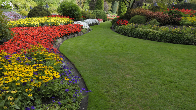 Winding path through vibrant flower beds