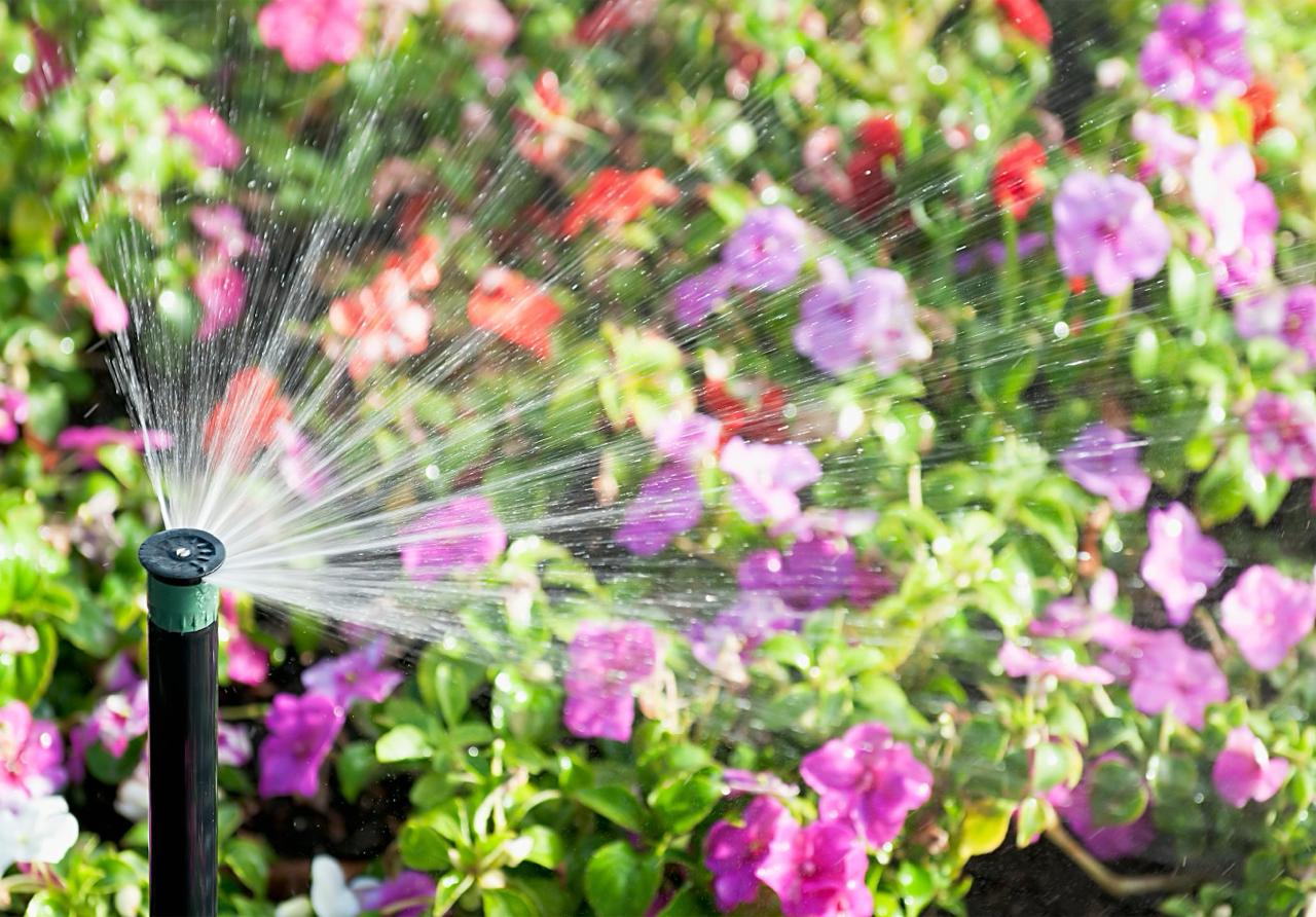 Irrigation system watering seasonal flowers