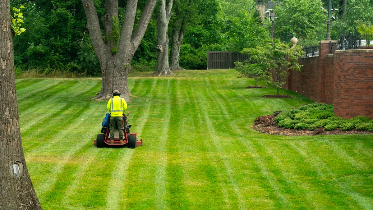 Residential lawn care and maintenance