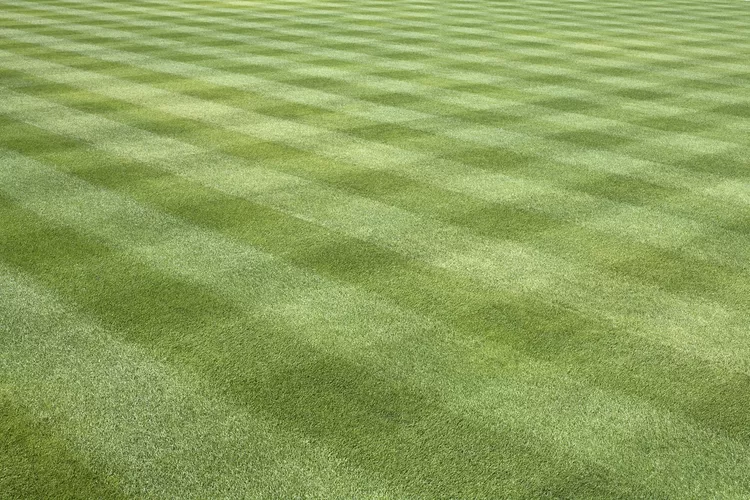Perfect checker-pattern lawn stripes